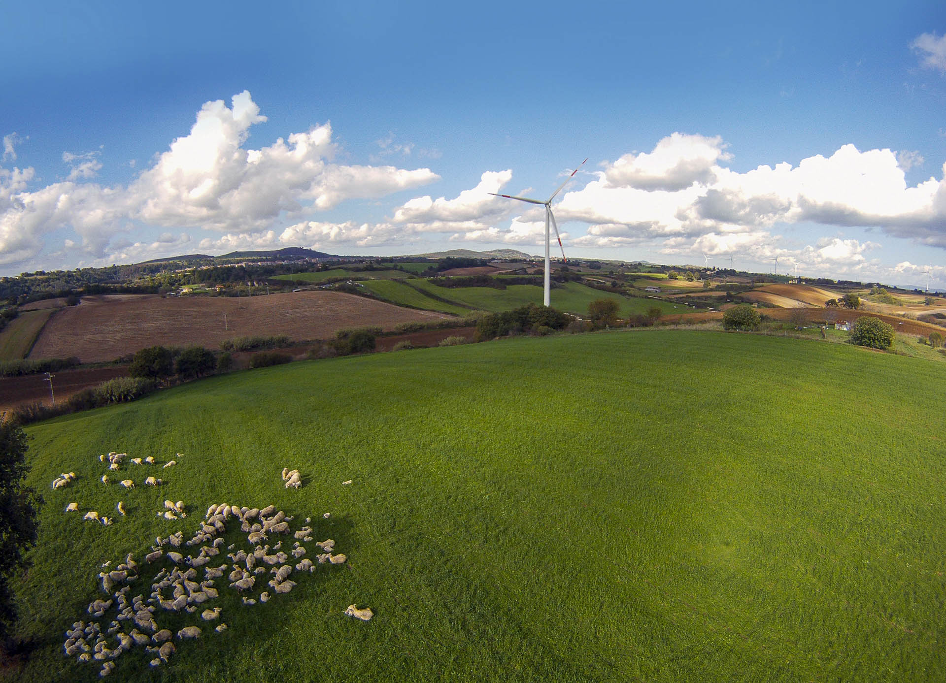 Parco eolico di Piansano produzione energia verde rinnovabile CVA